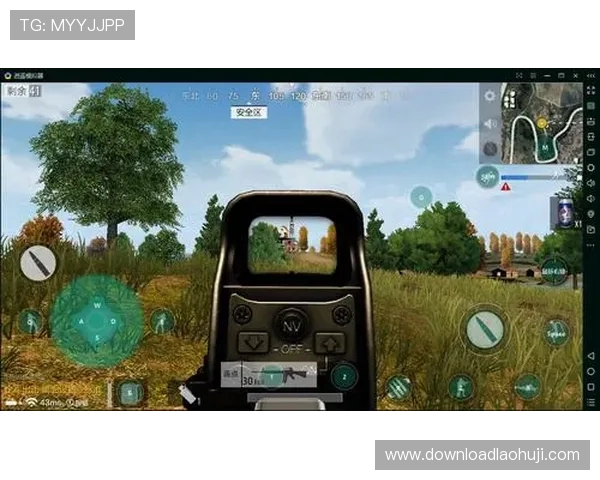 FC电子模拟器的配置与调试指南，帮助用户实现最佳模拟效果